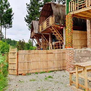 Standard Villa